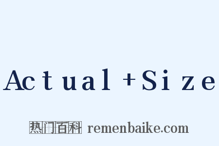 Actual+Size是什么意思的图片